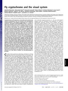 Circadian Clock, and Its C Ter- Constant Darkness, They Increase, Reaching a Plateau (8)