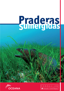 Praderas Sumergidas