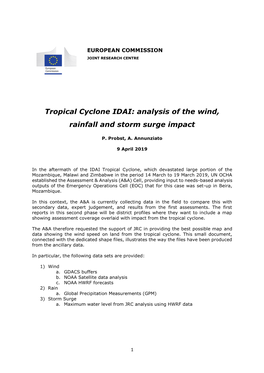 Tropical Cyclone IDAI: Analysis of the Wind, Rainfall and Storm Surge Impact