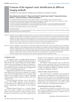 Contents of the Inguinal Canal: Identification by Different Imaging Methods Conteúdos Do Canal Inguinal: Identificação Pelos Diferentes Métodos De Imagem