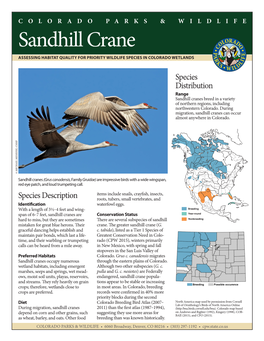 Sandhill Crane ASSESSING HABITAT QUALITY for PRIORITY WILDLIFE SPECIES in COLORADO WETLANDS