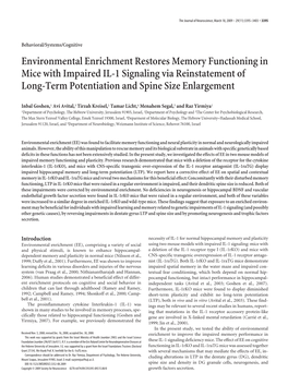 Environmental Enrichment Restores Memory Functioning in Mice with Impaired IL-1 Signaling Via Reinstatement of Long-Term Potentiation and Spine Size Enlargement