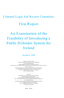 First Report an Examination of the Feasibility of Introducing a Public