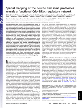 Spatial Mapping of the Neurite and Soma Proteomes Reveals a Functional Cdc42/Rac Regulatory Network