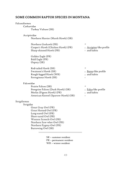 Some Common Raptor Species in Montana