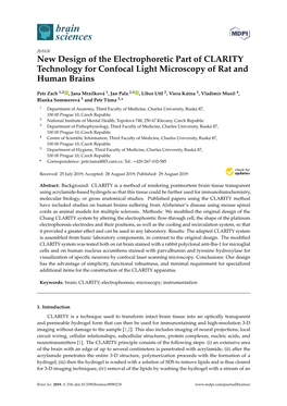 New Design of the Electrophoretic Part of CLARITY Technology for Confocal Light Microscopy of Rat and Human Brains