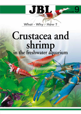 Crustacea and Shrimp in the Freshwater Aquarium JBL 2