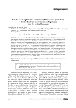 Genetic and Morphometric Comparison of Two Isolated Populations of Barilius Bendelisis (Cypriniformes: Cyprinidae) from the Indian Himalayas