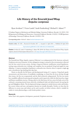 ﻿Life History of the Emerald Jewel Wasp Ampulex Compressa