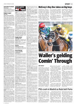 Waller's Gelding Comin' Through