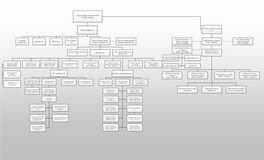 Post-Acquisition Organization Chart of AFI