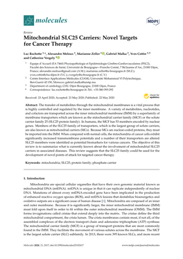 Mitochondrial SLC25 Carriers: Novel Targets for Cancer Therapy