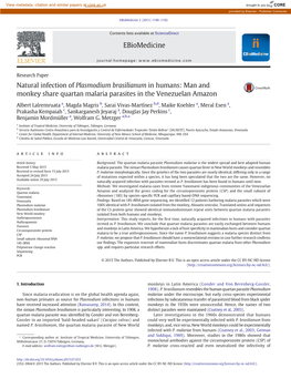 Natural Infection of Plasmodium Brasilianum in Humans: Man and Monkey Share Quartan Malaria Parasites in the Venezuelan Amazon