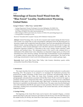 Mineralogy of Eocene Fossil Wood from the “Blue Forest” Locality, Southwestern Wyoming, United States