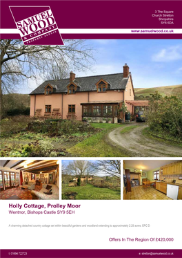 Holly Cottage, Prolley Moor Wentnor, Bishops Castle SY9 5EH