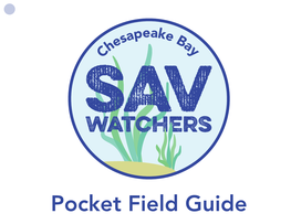 Pocket Field Guide