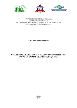Uma Estrada Na Reserva: Impactos Sócioambientais Da Pa-136 Em Mãe Grande, Curuçá (Pa)
