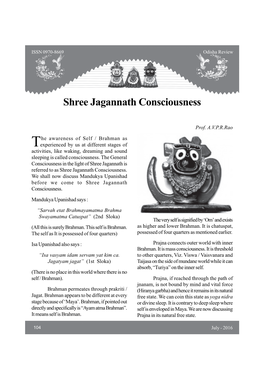 Shree Jagannath Consciousness