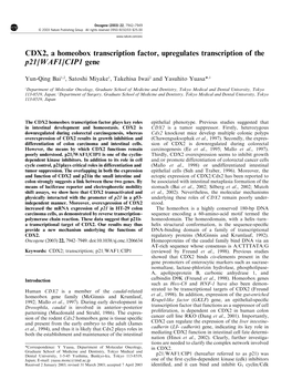 CDX2, a Homeobox Transcription Factor, Upregulates Transcription of the P21/WAF1/CIP1 Gene