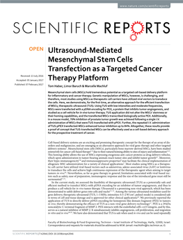 Ultrasound-Mediated Mesenchymal Stem Cells Transfection As A