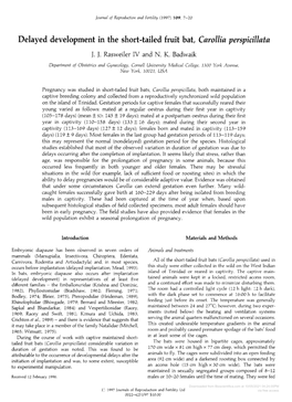 Delayed Development in the Short-Tailed Fruit Bat, Carollia Perspicillata J