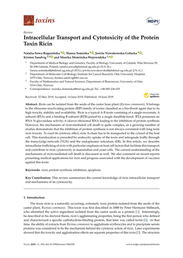 Intracellular Transport and Cytotoxicity of the Protein Toxin Ricin