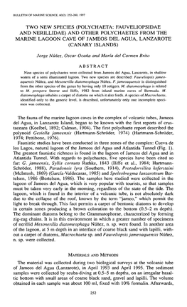 Polychaeta: Fauveliopsidae and Nerillidae) and Other Polychaetes from the Marine Lagoon Cave of Jameos Del Agua, Lanzarote (Canary Islands