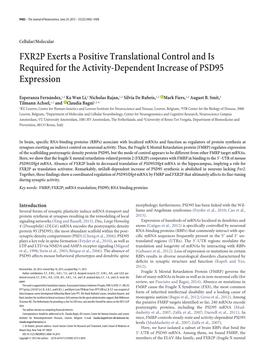 FXR2P Exerts a Positive Translational Control and Is Required for the Activity-Dependent Increase of PSD95 Expression