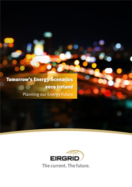 Eirgrid, “Tomorrow's Energy Scenarios 2019 Ireland,”