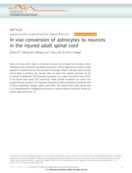 In Vivo Conversion of Astrocytes to Neurons in the Injured Adult Spinal Cord