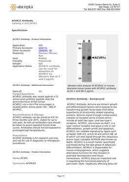 ACVR1C Antibody Catalog # ASC10763