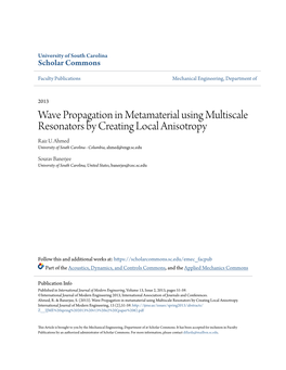 Wave Propagation in Metamaterial Using Multiscale Resonators by Creating Local Anisotropy Raiz U