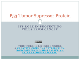 P53 Tumor Supressor Protein