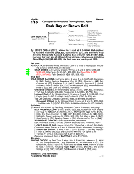 116 Consigned by Woodford Thoroughbreds, Agent Dark Bay Or Brown Colt