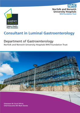 Consultant in Luminal Gastroenterology