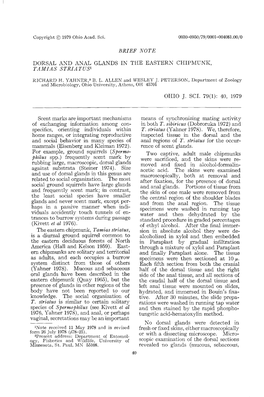 Brief Note Dorsal and Anal Glands in the Eastern Chipmunk, Tamias