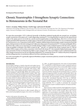 Chronic Neurotrophin-3 Strengthens Synaptic Connections to Motoneurons in the Neonatal Rat