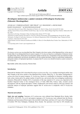 Horabagrus Melanosoma: a Junior Synonym of Horabagrus Brachysoma (Teleostei: Horabagridae)