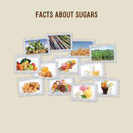 Facts About Sugars – Brochure