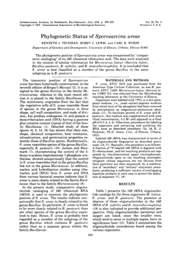 Phylogenetic Status of Sporosarcina Ureae