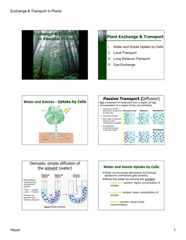 Exchange & Transport in Plants Heyer 1