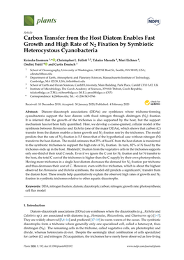 Carbon Transfer from the Host Diatom Enables Fast Growth and High Rate of N2 Fixation by Symbiotic Heterocystous Cyanobacteria