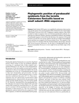 Phylogenetic Position of Parabasalid Symbionts from the Termite