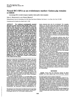 Neural BC1 RNA As an Evolutionary Marker: Guinea Pig Remains a Rodent (Non-Messenger-RNA/Recruited Retroposon/Exaptation/Rodent Specific/Rodent Monophyly) JOHN A