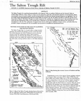 The Salton Trough Rift MICHAEL A