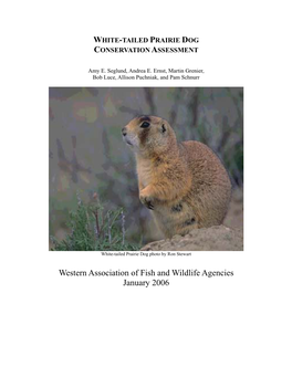 White-Tailed Prairie Dog Conservation Assessment