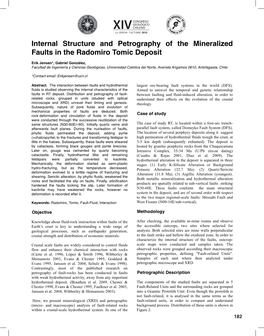 Internal Structure and Petrography of the Mineralized Faults in the Radomiro Tomic Deposit