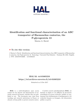 Identification and Functional Characterization of an ABC Transporter of Haemonchus Contortus, the P-Glycoprotein 13 Marion A