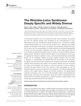 The Rhizobia-Lotus Symbioses: Deeply Specific and Widely Diverse