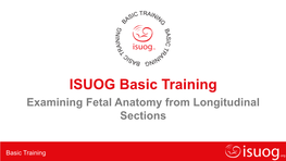 Evaluating Fetal Anatomy from Longitudinal Sections